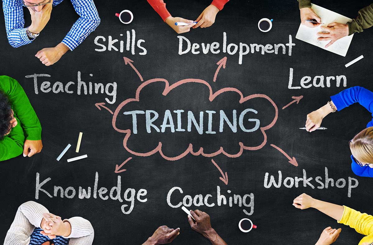 Business Training Coaching Entwicklung